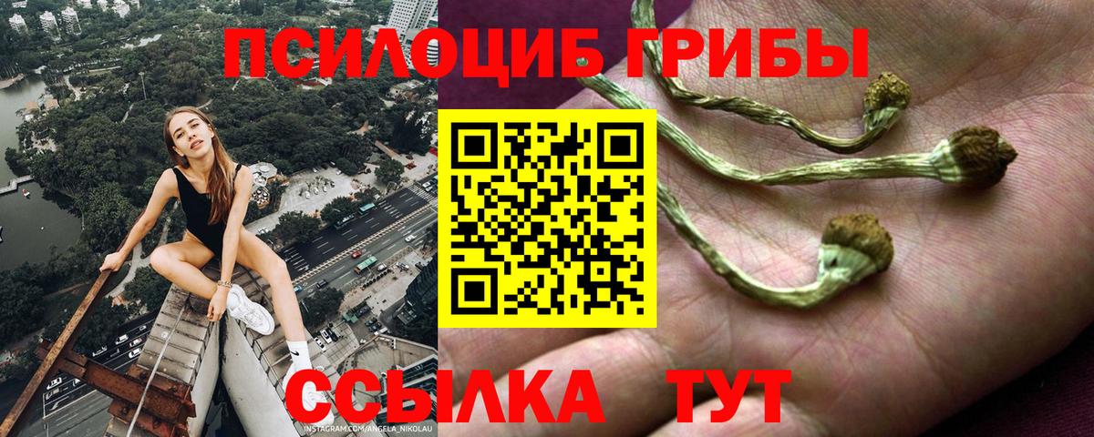Салехард  Галлюциногенные грибы мицелий  Вход с VPN 