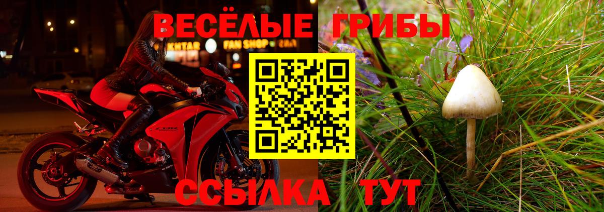 Псилоцибиновые грибы Magic Shrooms Салехард
