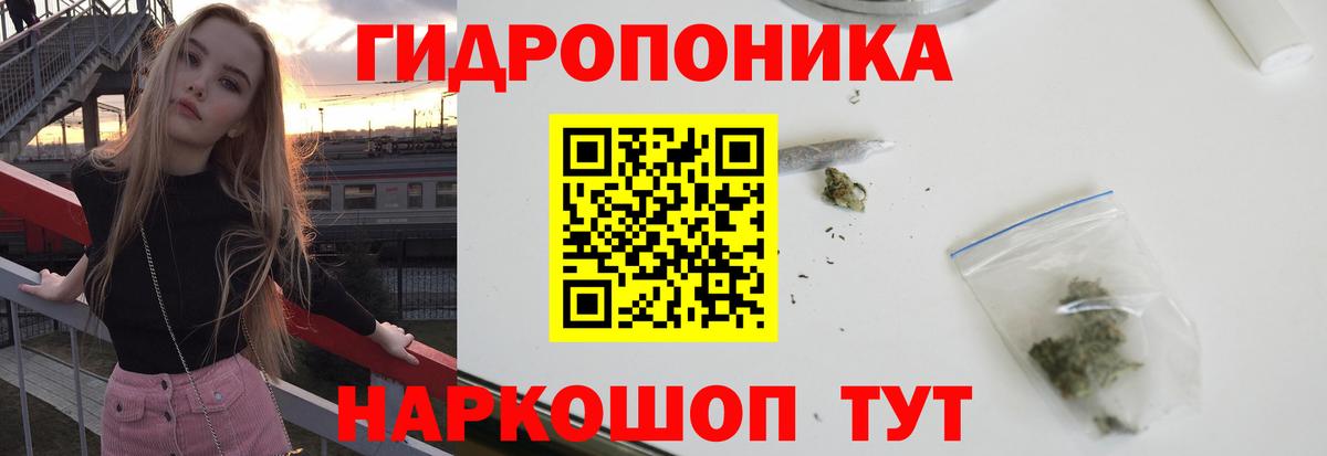 Каннабис ГИДРОПОН  Канабис LSD WEED  Вход с VPN  Салехард 
